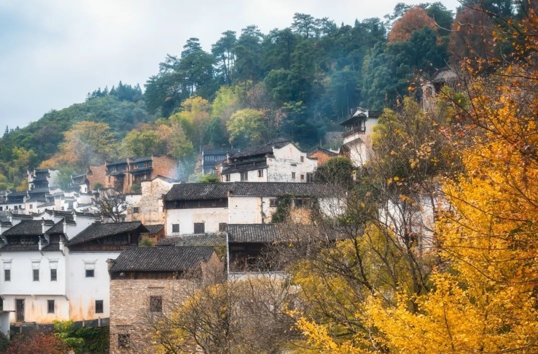 白哈巴村|秋天最不能辜负的10个绝美古镇，累了就去小住几日