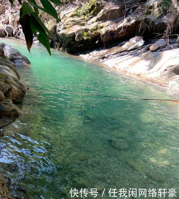 山林|消失的“溪流女王”，钓这种鱼曾是许多南方人的童年记忆