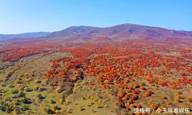 「聚焦」｜索博日嘎镇金秋美景为祖国庆生