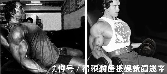 肱二头肌|哪些动作需要固定肩胛骨,哪些不需要—健身动作无法逃避的问题