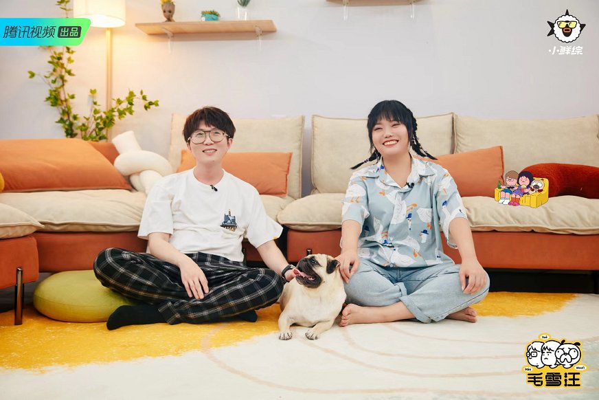 《毛雪汪》：真朋友的“有效社交”才有真正治愈感