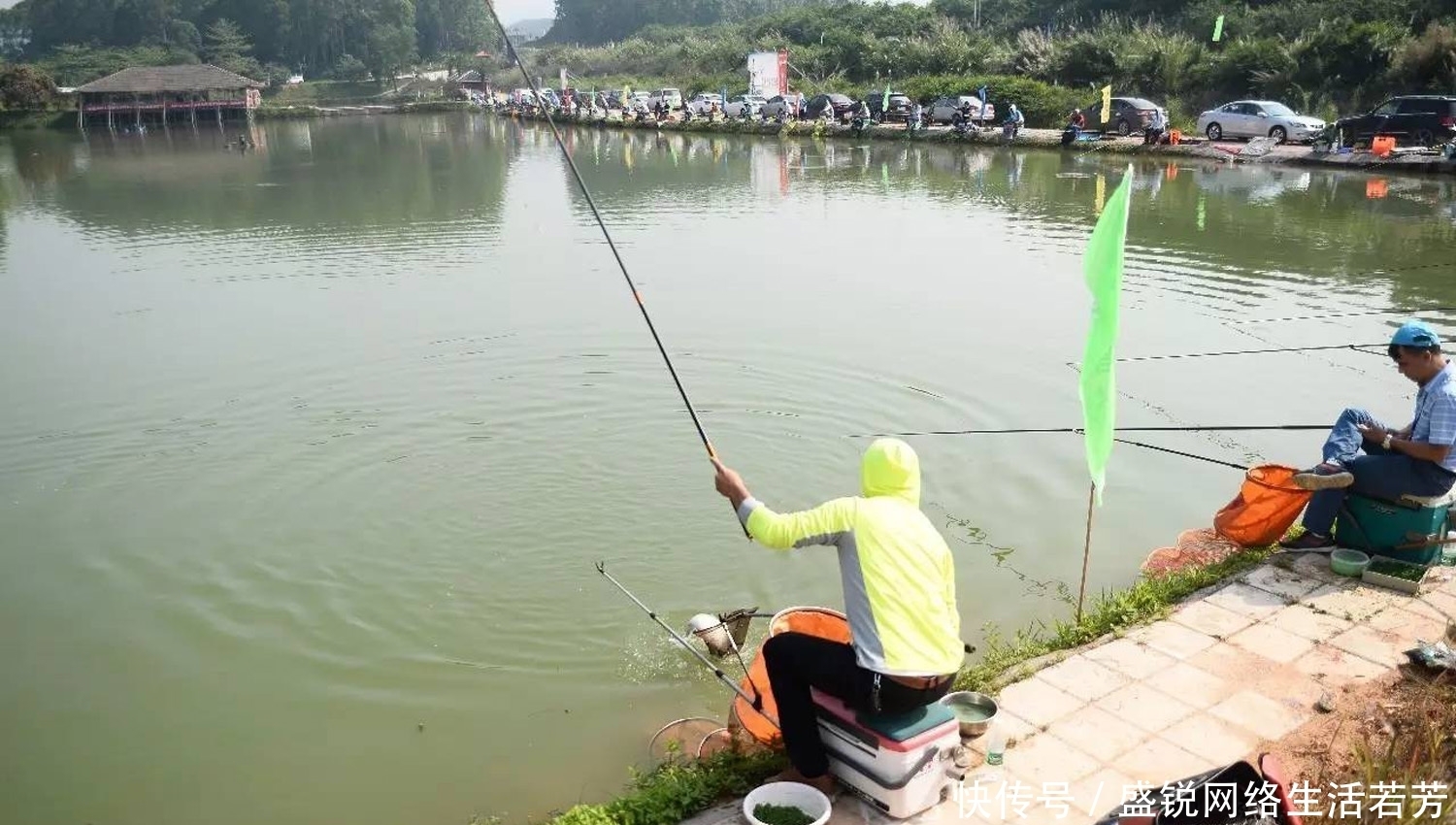 什么气味最能吸引鲤鱼?钓鲤鱼饵料味型的调配技巧