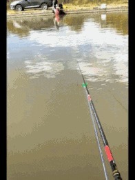 |搞笑GIF:温馨提示:朋友结婚放鞭炮千万别再这样了