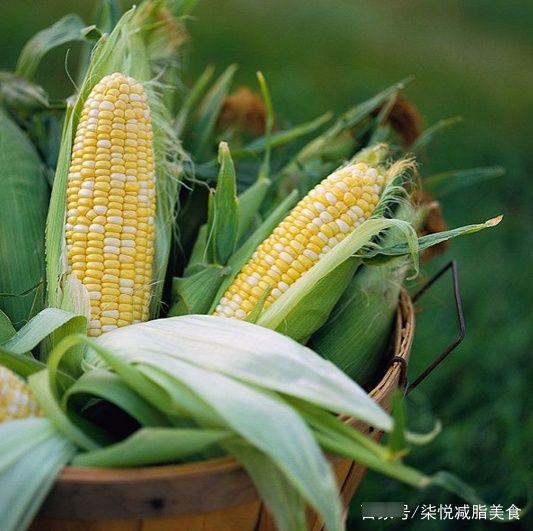 减肥期间还在吃水果玉米？它的含糖量可是比西瓜都要高出30%呢