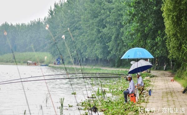 钓鱼时,这些经常搭讪的人,是有“目的”的,你都了解吗