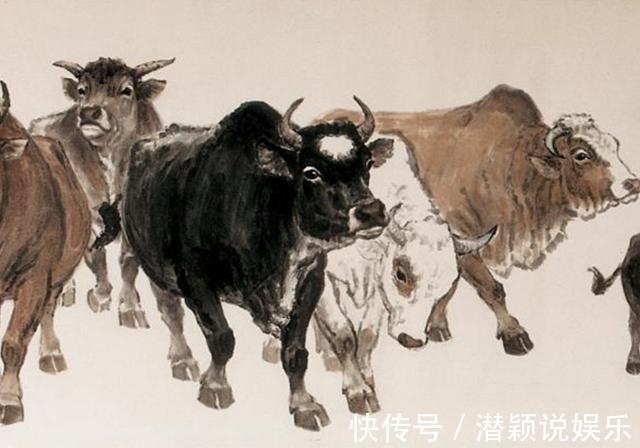 幸福时光|揭秘生肖牛的姻缘与运势，尤其是1973年的，老人说的没有错！