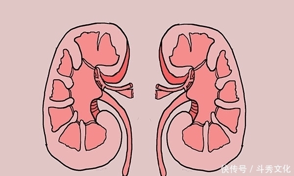 尿液变黄|排尿很黄，异味很大？可能身体发出的“求救信号”，别以为是上火