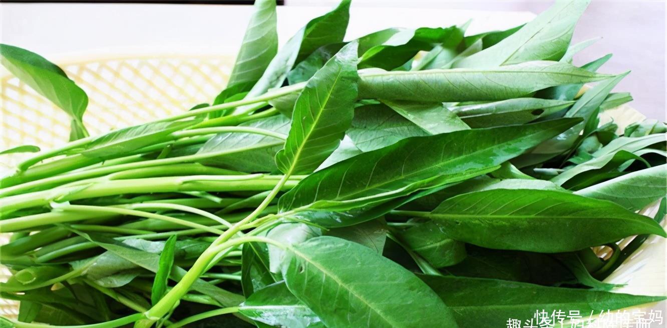 無(wú)論男女,春季適合吃3種食物,增強(qiáng)體質(zhì),延緩衰老,開(kāi)胃促消化