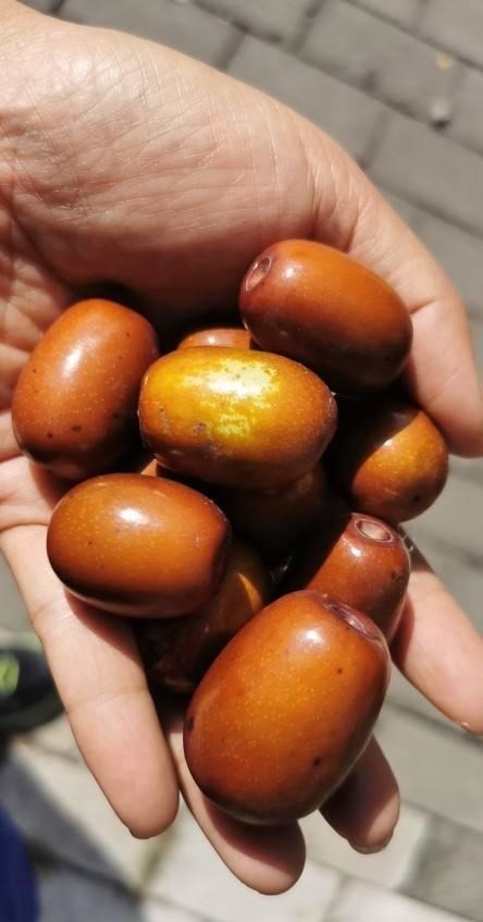 菜刀前面有个小孔,还有这4个妙用,后悔知道晚了!