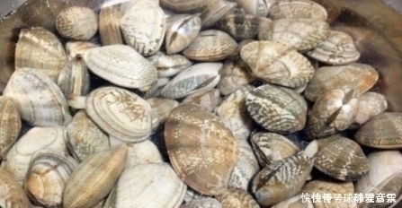 清洗花蛤别只会放盐？大厨教你1招，泥沙快速吐干净，太厉害了