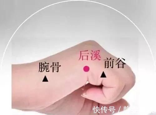 后溪穴|身上自带4个血压调节器，没事按一按，轻松调血压！