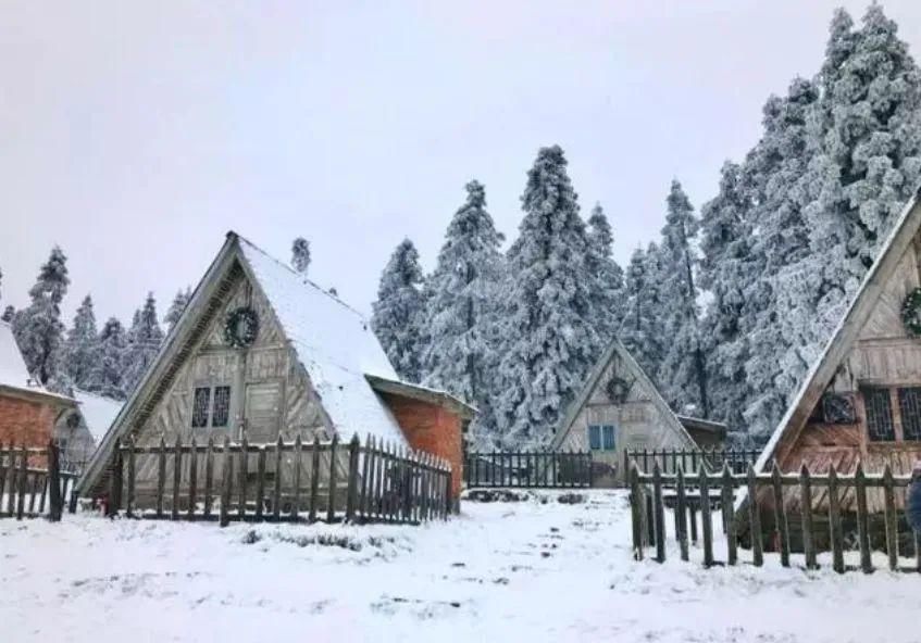 1小时飙拢！去重庆看雪！云海雪山森林，下山还能泡温泉！