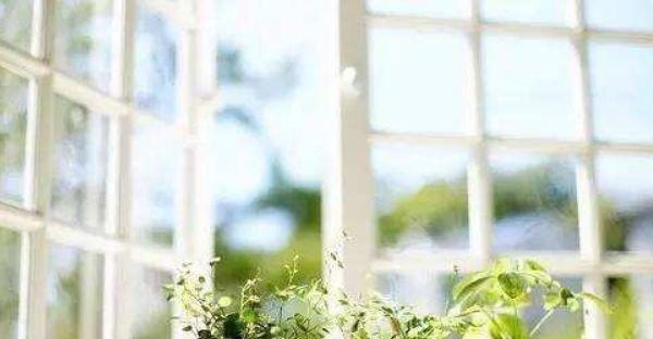 装修|装修完能不能直接开窗通风听听老师傅的经验，太多人做错！