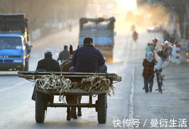 茅草庐|关于乡村的19首诗词那年村口那头牛，满载春风与自由