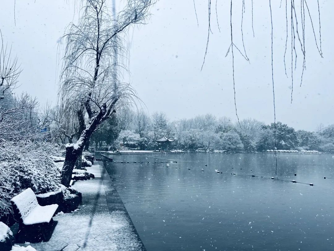 雨雪|此刻的杭州，太美了吧！