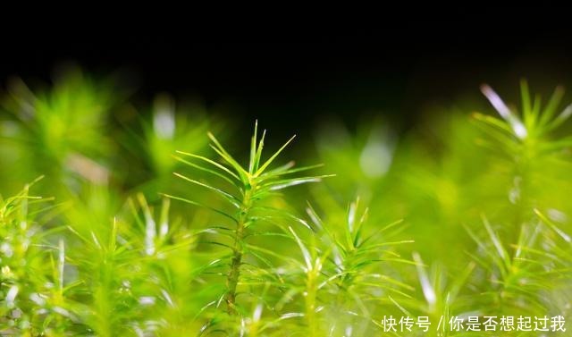 懂得宽容别|做人要厚道(经典)