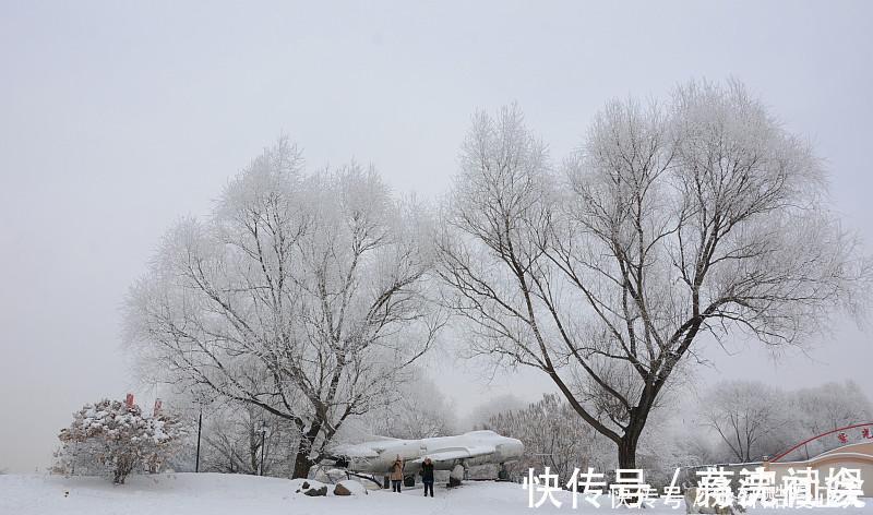 天蝎座|有颜值，又有才华的三个星座，既能貌美如花，又能赚钱养家