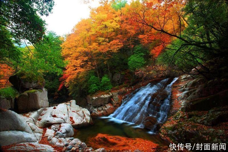 李本勇|四川南江县委书记李本勇：抓好文旅首位产业 打造国际休闲旅游度假目的地