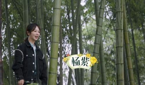 杨紫中秋节晒片场工作照,2小时阅读量不到20万,评论区一片好评