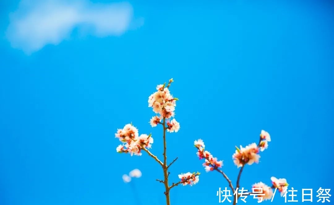春水煎茶@12个“惊艳千年”的浪漫诗句,值得一生一世收藏