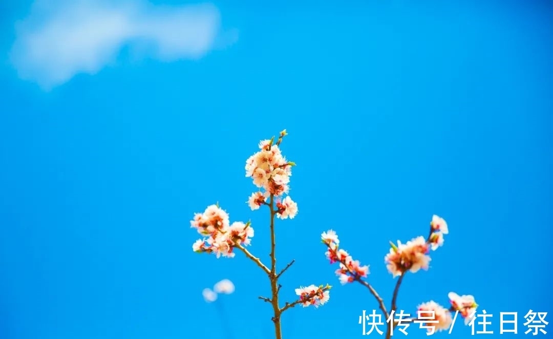 春水煎茶@12个“惊艳千年”的浪漫诗句，值得一生一世收藏