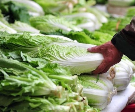 甲醛|忠告看见此种白菜不要买,更不要吃,现在知道还不晚!
