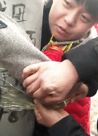 |搞笑GIF:姑娘这么玩,你想笑死我吗?