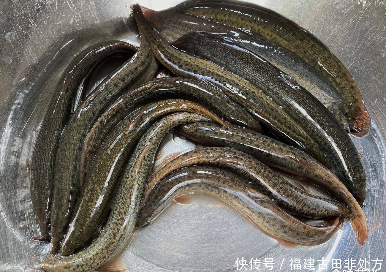 泥鳅要不要掏内脏？很多人搞不明白，为了家人的健康，不妨看一看