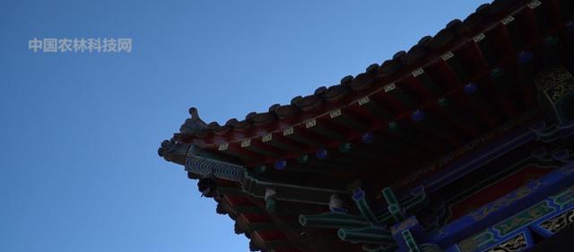 古寺|李世民母亲铜镜隐映出的寺庙,杨凌小湋河塬畔的照镜古寺