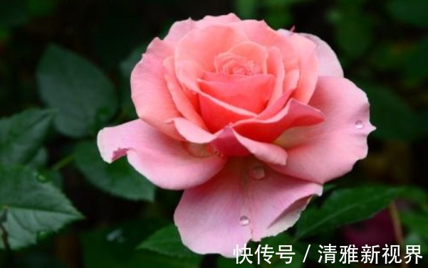 致命错误!真正“有本事”的人,都有4个本领,难怪天天赚大钱!