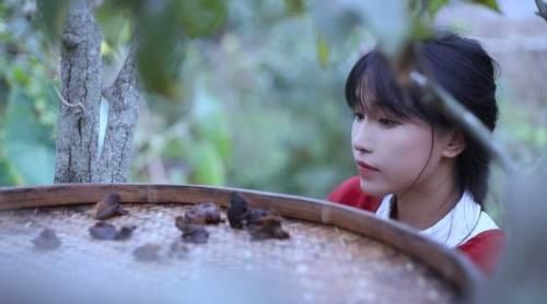 李子柒“火热”的背后，有她自己的优势，不担心被同质博主取代