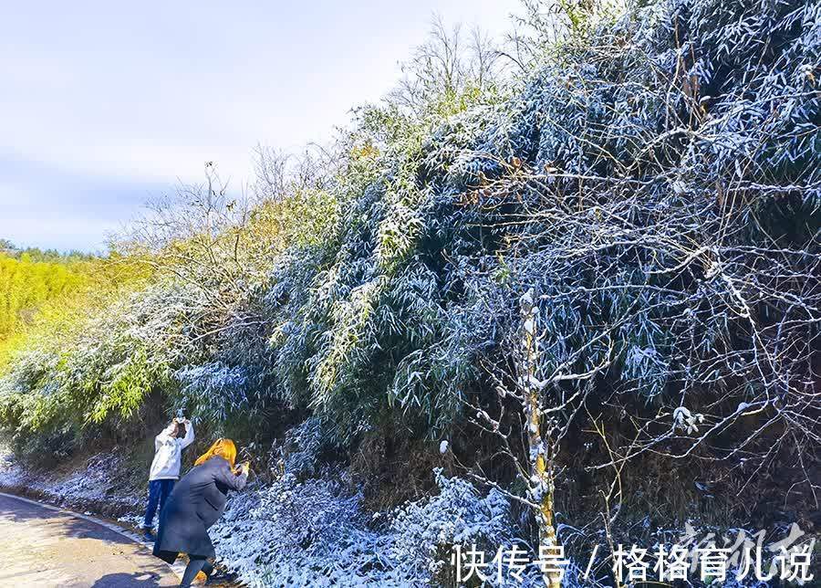 第一场雪|大围山迎来今冬第一场雪