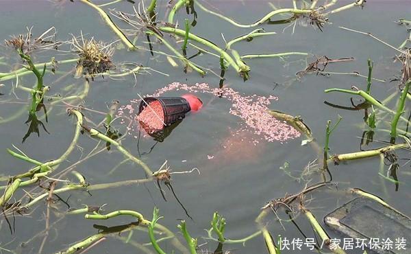 冬季钓鲫鱼，传统钓更有优势，试试这种钓法，让你大鲫鱼连竿上