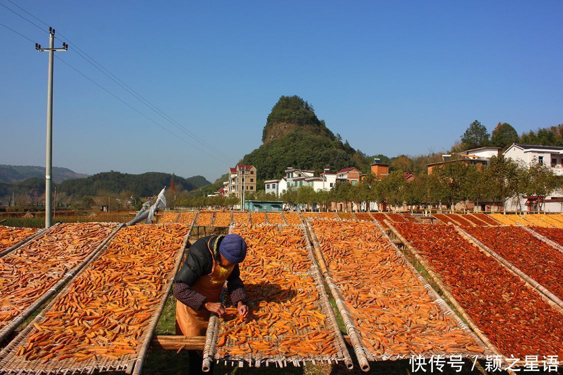 番薯的花样吃法,舌尖上的美食,只问吃过几种