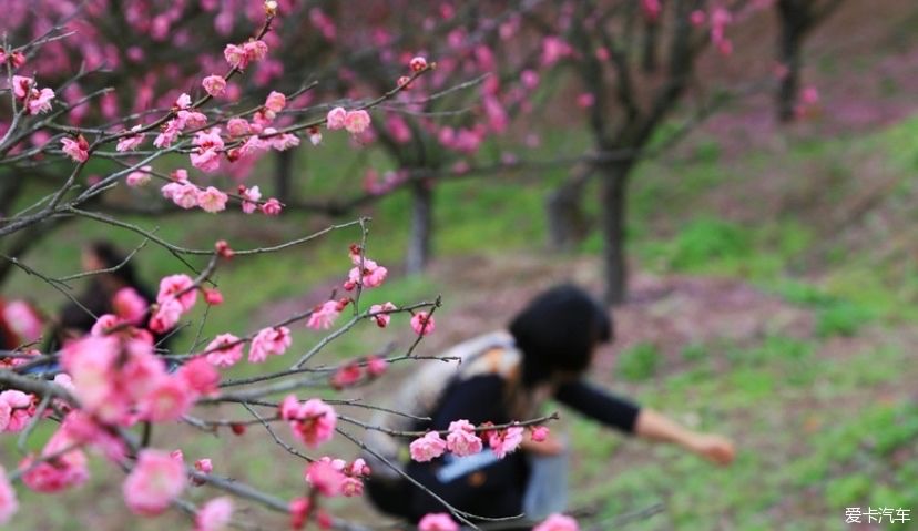 一日穿越四朝，恍若梦回千年