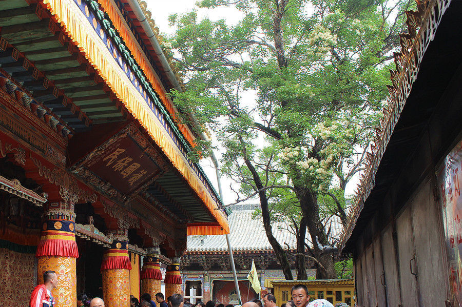  六大|酥油花、壁画、堆绣，中国藏传佛教六大寺院——塔尔寺