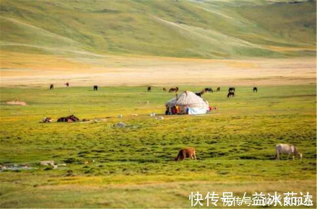 司马光|蒙古国到底出什么事了280万民众请求中国出手,称只有中国能帮