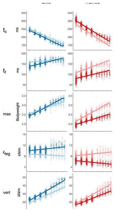 弹簧|精英运动员为什么跑得更快？原来他们真的会“飞”！