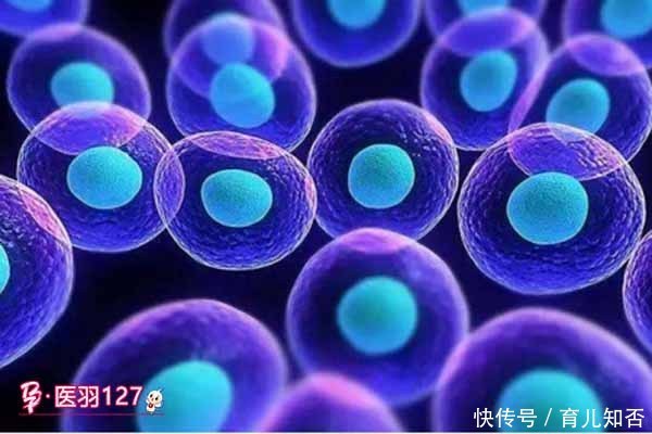 医羽:糖尿病新式治疗手段或将彻底治愈糖尿病!