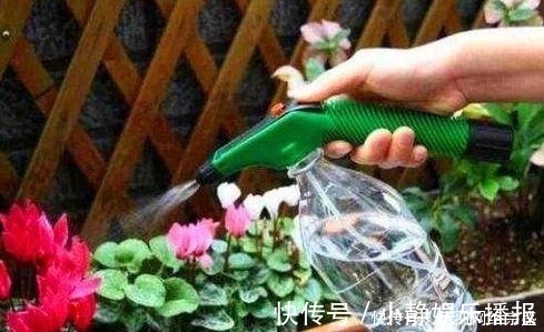老花匠养花从不用啤酒、淘米水，仅在盆里倒点“它”，养啥爆啥！