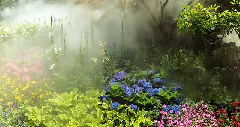 居所|威登小镇丨一处理想的居所，离不开一个院子