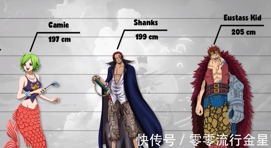 身高|海贼王数据公示2罗宾长腿令女生羡慕,山治家族只有两个正常人