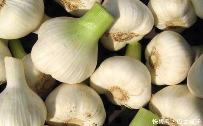 绿豆|公认的3大最强排毒食物,糖友常吃还有益控制血糖,常吃对身体好