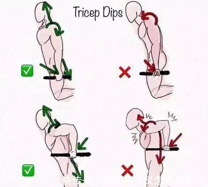 动作|健身健身房最容易做错的8个动作,动作正确效果翻倍