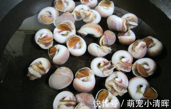 海鲜|被“误解”最深的美食,它全身是宝,比甲鱼营养,6元1斤没人买