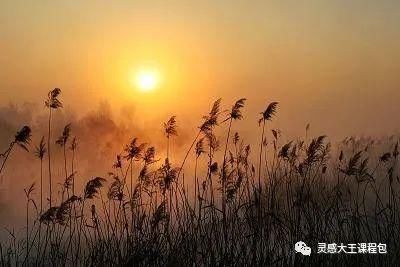  蒹葭苍苍，白露为霜 ——《芦苇荡》