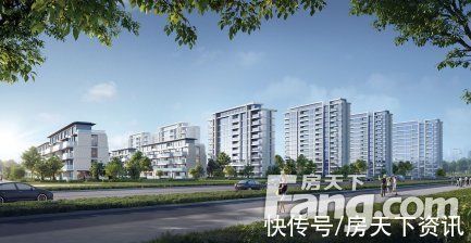 有限公司|新盘对话：GZ288地块规划出炉 将建设别墅、洋房、小高层等