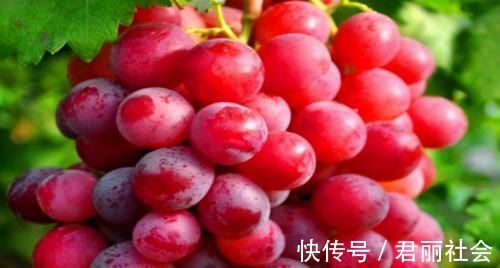 葡萄|最有营养的3种食物,美容养生、滋润肌肤,爱吃就赚了!