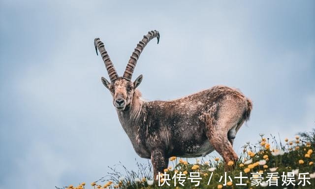 哥哥们|又甜又糯，最讨男生喜欢的三个星座，看一眼心都会化了