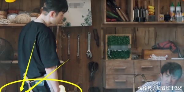 天不怕地不怕,就怕《向往》滤镜,青菠萝一刀切开后就熟了!